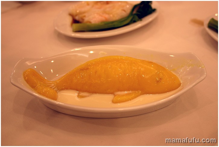 mango pudding.jpg - toronto, canada